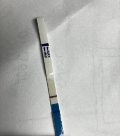 Testování a těhotenský test | Testování listopad 2022
