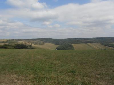 HUSTOPEČE