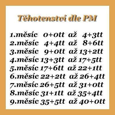 Těhotenství | Počítání týdnů - v kolikátém TT jsem?