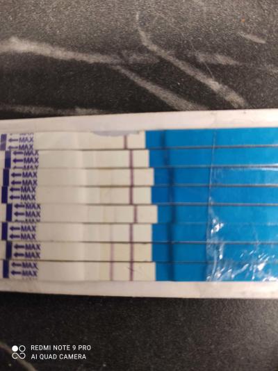 Testování a těhotenský test | Hodnota hcg v 4tt
