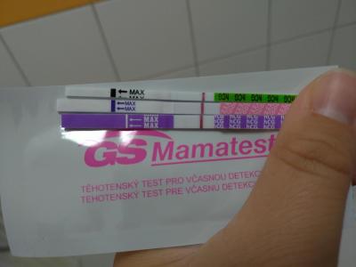 Testování a těhotenský test | Stále pozitivní Mamatest, ostatní TT negativní