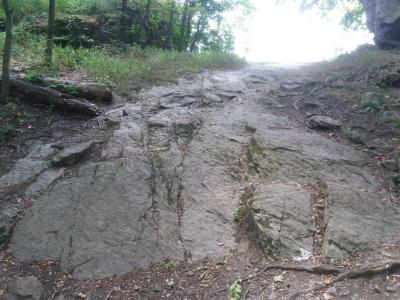 OHEB