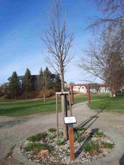 ŽĎÁR NAD SÁZAVOU