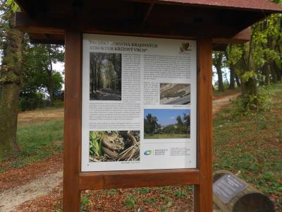 HUSTOPEČE