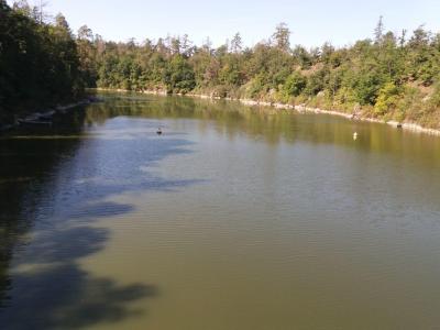 JEVIŠOVICE