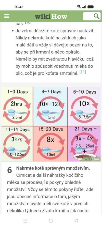 Zvířata | Kotě - rychlá rada