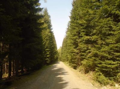 Šumava