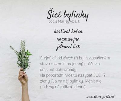 Zdravotní potíže dospělých | Natrhlá hráz vagíny