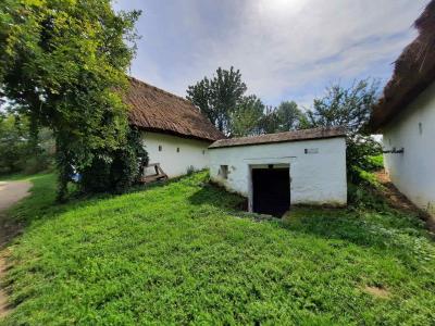 SKANZEN