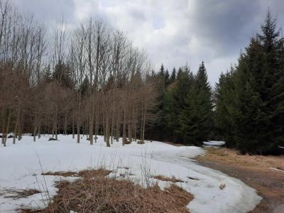 CIKHÁJ