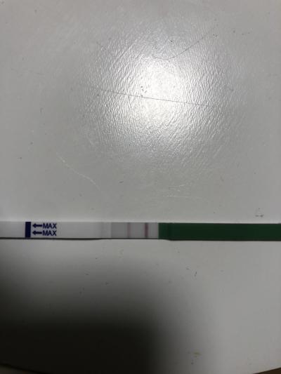 Testování a těhotenský test | Bude ještě ovulace, když už beru Progestron?