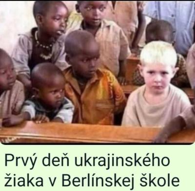 Zaměstnání | Učitelka plat