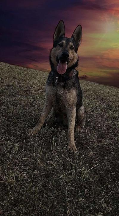 Vše možné | Fotograf živnost