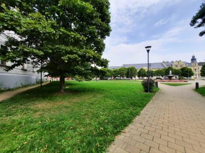 OPAVA