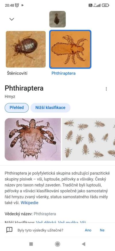 Dětské nemoci | Vši, svědění, postup