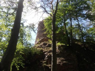 OHEB
