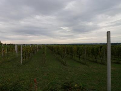 MORAVSKÝ ŽIŽKOV