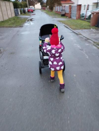 Těhotenství | TP prosinec 2022