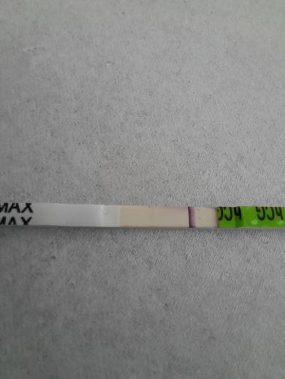 Testování a těhotenský test | Testování, nechápu...