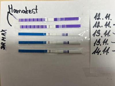 Testování a těhotenský test | Testování listopad 2022