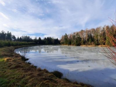 PROCHÁZKA 31.12.2022