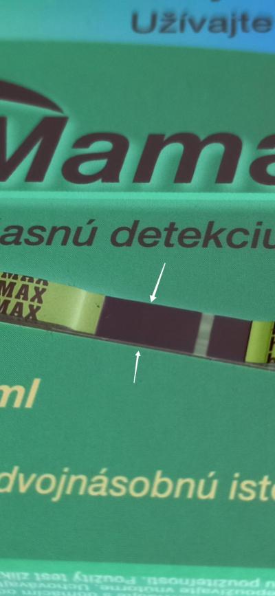 Testování a těhotenský test | TT GS Mamatest - vidíte něco?