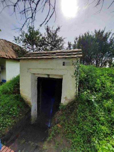 SKANZEN