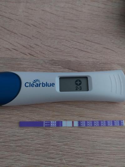 Testování a těhotenský test | Duch týden po menstruaci