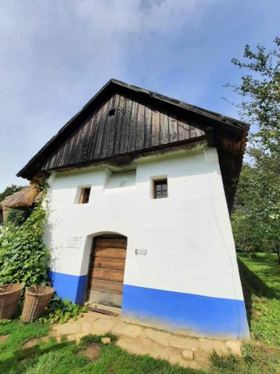 SKANZEN