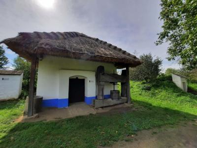 SKANZEN