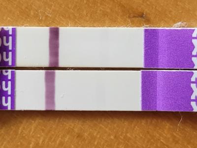 Testování a těhotenský test | Muze to byt pozitivni tt?