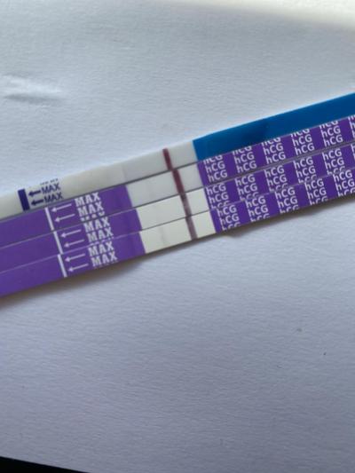 Testování a těhotenský test | Ranní a odpoledni moč. Je v tom velky rozdíl?