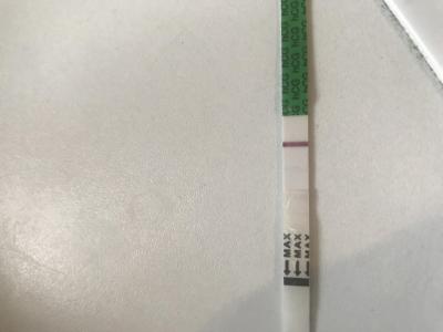 Testování a těhotenský test | Testování: vidíte ducha?