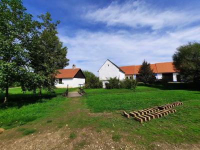 SKANZEN