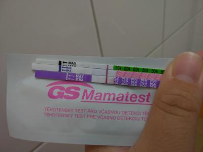Testování a těhotenský test | Stále pozitivní Mamatest, ostatní TT negativní
