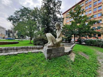 OPAVA