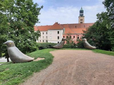 OPAVA