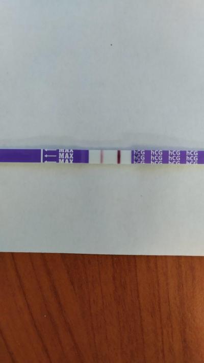 Testování a těhotenský test | Kdy jste měli ducha na testu?