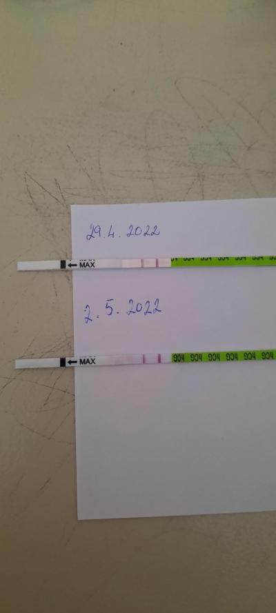 Těhotenství | TP leden 2023