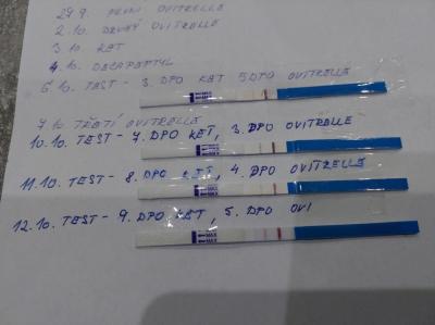 Snažení | IVF cube studie pro rok 2018