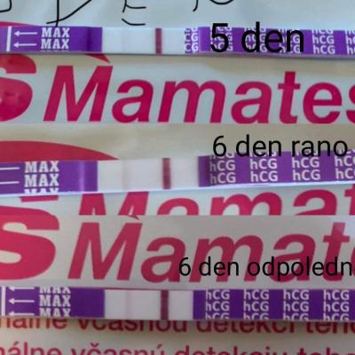 Centra asistované reprodukce | IVF listopad 2022