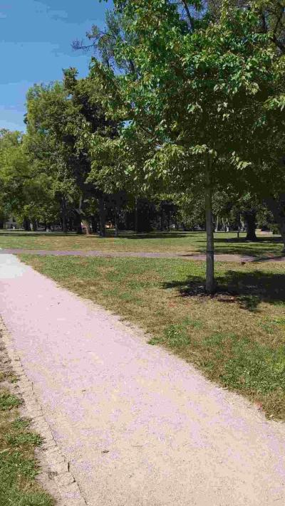 Park 