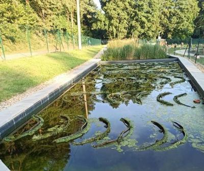 Biotopová 