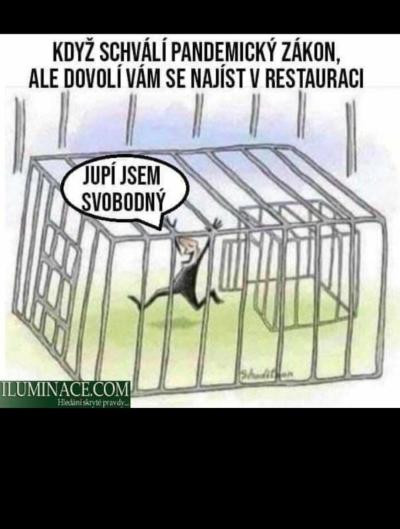 Koronavirus v ČR | Pandemický zákon