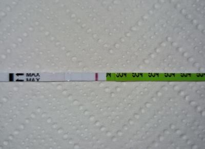 Testování a těhotenský test | Testování listopad 2022
