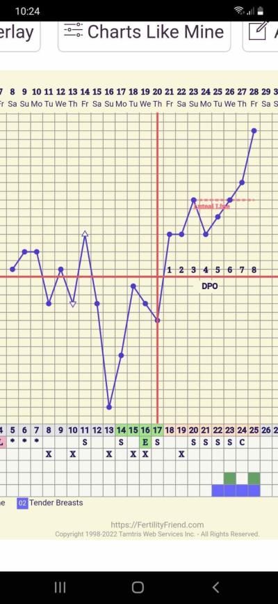Testování a těhotenský test | ČEKÁNÍ NA TESTOVÁNÍ