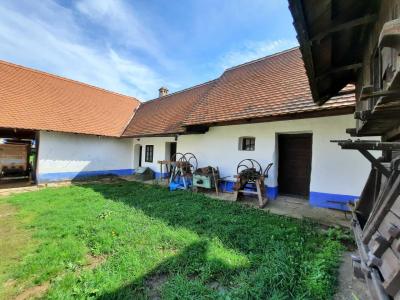 SKANZEN