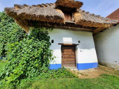 SKANZEN