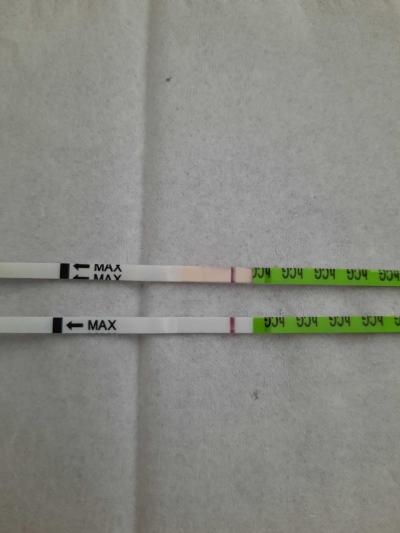 Testování a těhotenský test | Testování, nechápu...