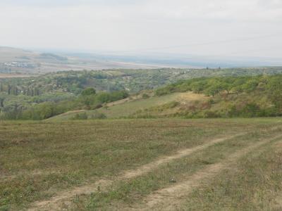 HUSTOPEČE